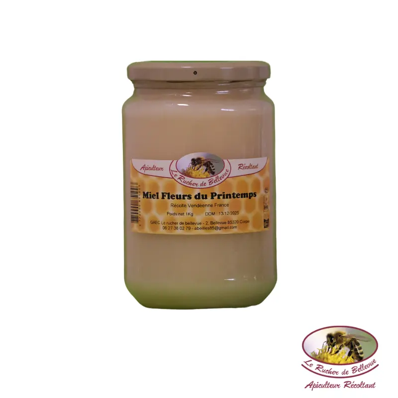A13 Miel de Printemps 1000g 