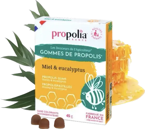 Gomme Propolis Miel et Eucalyptus