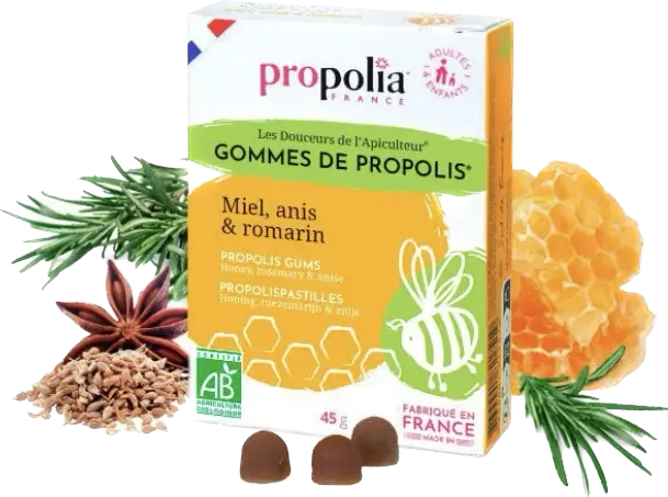 Gomme Propolis Miel et Romarin et Anis 