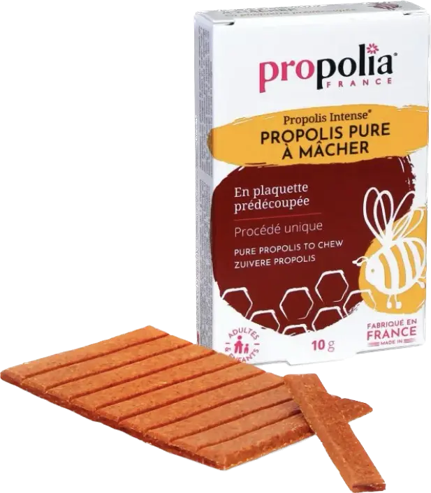 Propolis pure à mâcher