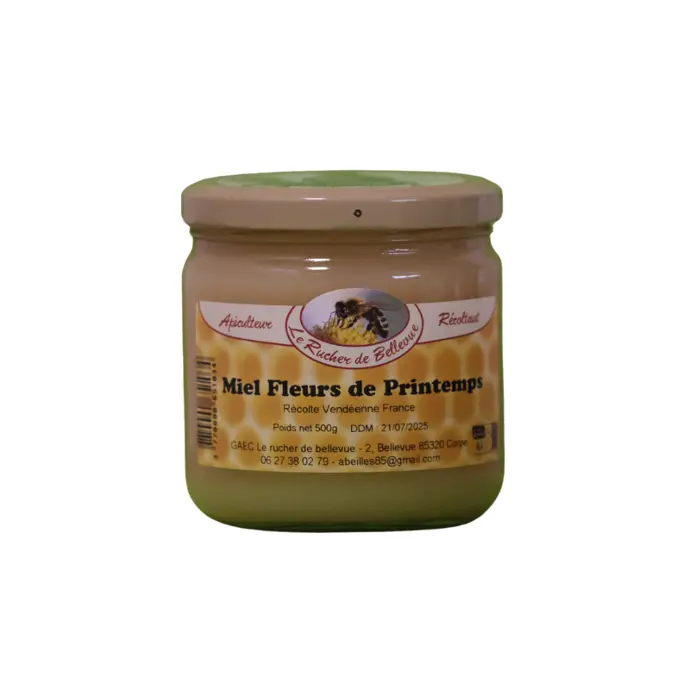 Miel de Printemps 500g