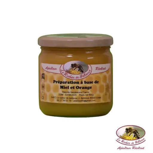 B91 Préparation de Miel et Orange 500g